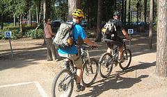 Swinley Forest - Mountain biking - 2006 September - Mountain Biking